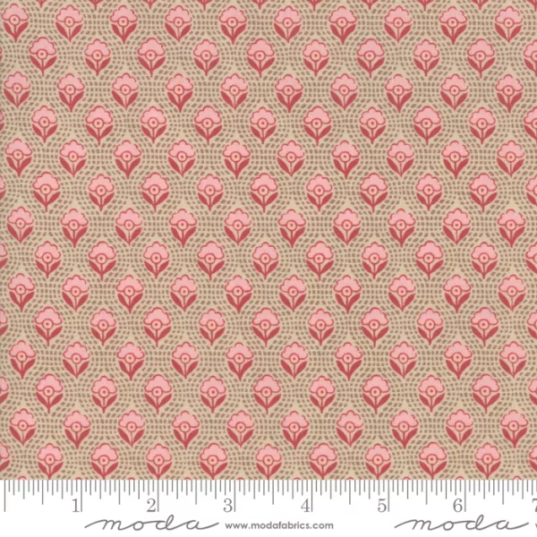 Moda French General "Chafarcani" 1385616 oyster