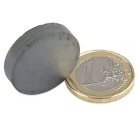 Scheibenmagnet 25 mm (für Magnetblumen)