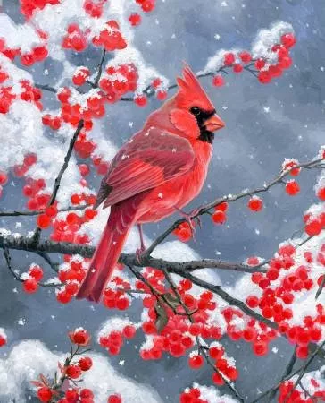 Panel "Winter Visitor" von David Textiles