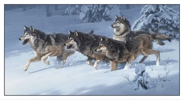 Paneel "White Wolves" von Elizabeth Studios, 61 x 110 cm