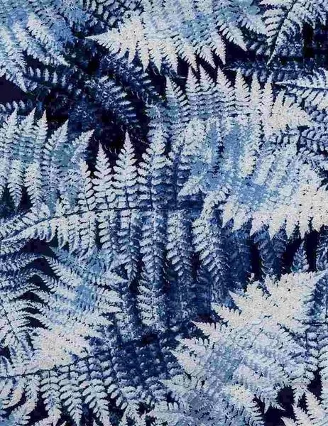 Timeless Treasures CM7829 - Ice Ferns - Metallic