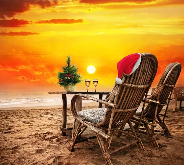 Paneel "Tropical Christmas" von Ruben Design Studio, 39 (!) inch breit