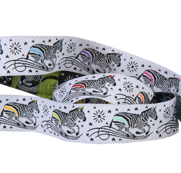 25 cm TULA PINK Linework Webband / Ribbon, Zebra on Lines 7/8 inch