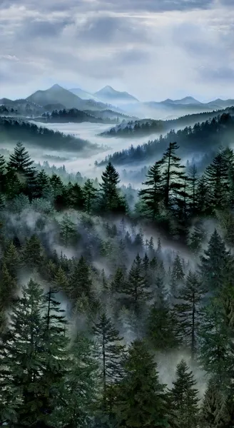 Paneel "'Misty Mountain" von Timeless Treasures, ca. 60 x 110cm
