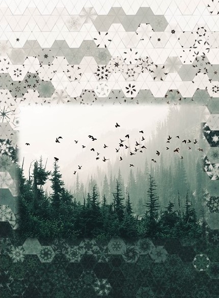 Stoffpaket: 7 Panels Winters Wings - Forest von Hoffman Digital