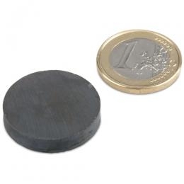 Scheibenmagnet 25 mm (für Magnetblumen)