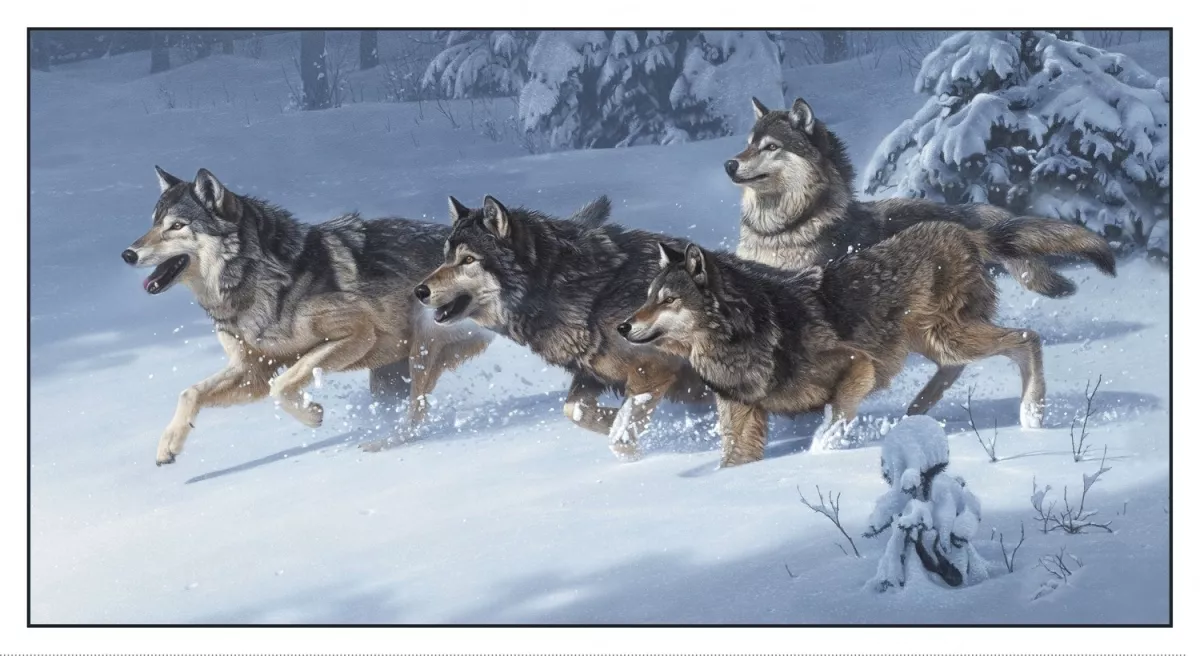 Paneel "White Wolves" von Elizabeth Studios, 61 x 110 cm