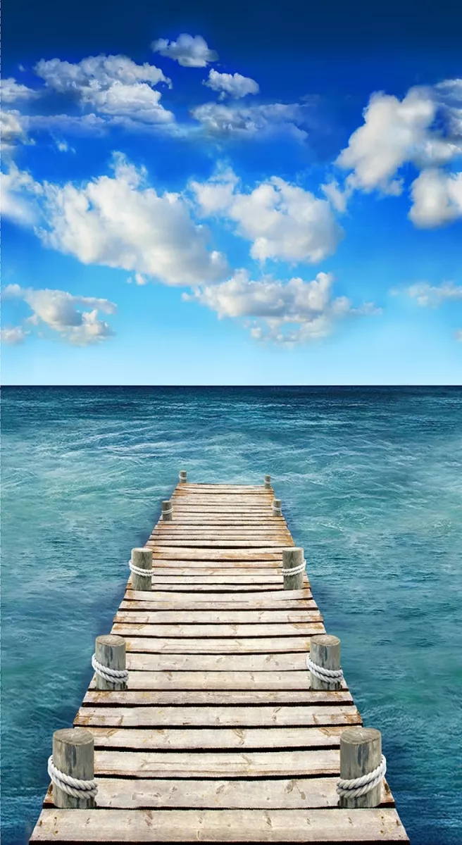 Panel Blue scenic sea boardwalk von Timeless Treasures