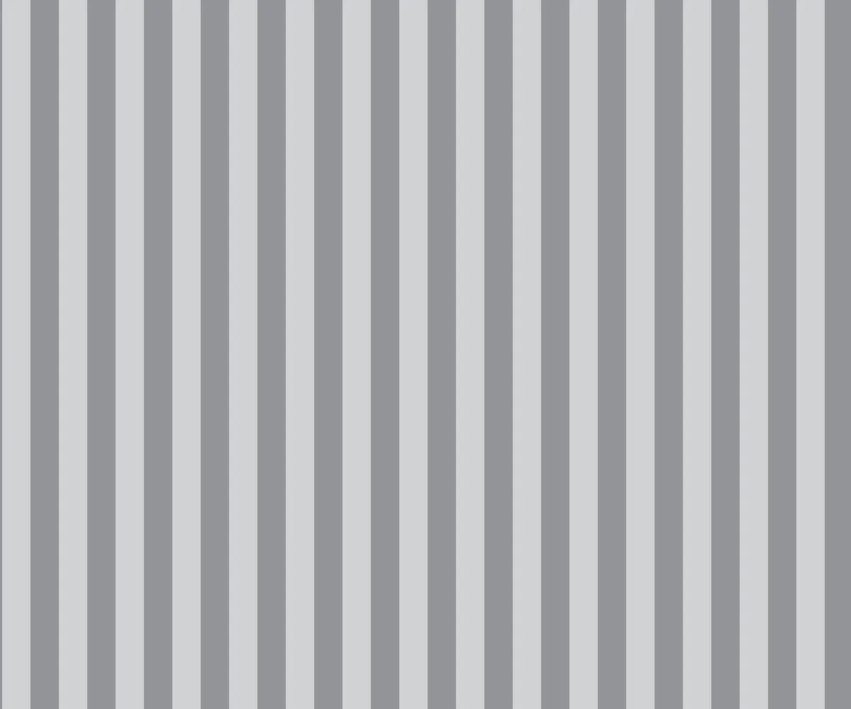 Tula Pink - Graywork - "Tent Stripe" Fog