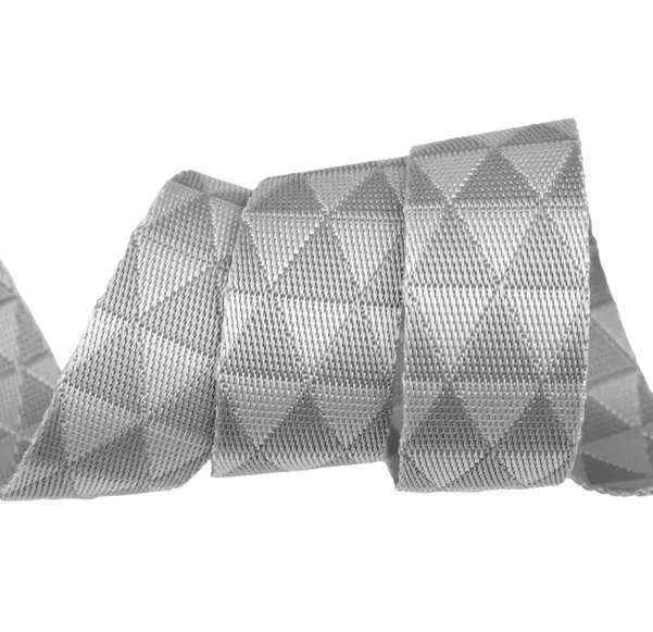 TULA PINK Graywork Gurtband / Taschenband - 2 yards Kinda Shady Whisper, Lieferung Okt/Nov 2025