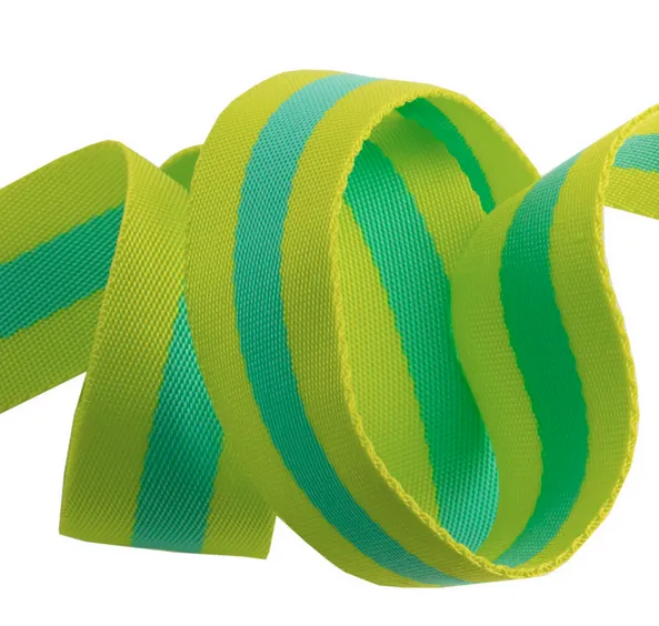 TULA PINK Gurtband / Taschenband - 2 yards Lime & Turquoise