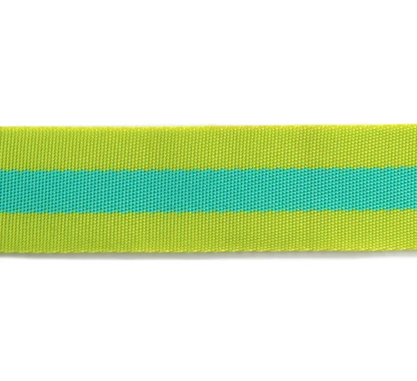 TULA PINK Gurtband / Taschenband - 2 yards Lime & Turquoise