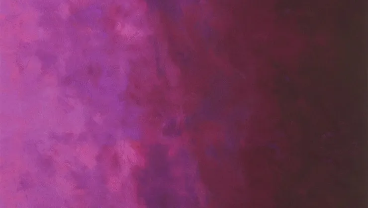 Robert Kaufman: Sky by jennifer sampou- Cerise AJSD-18709-363