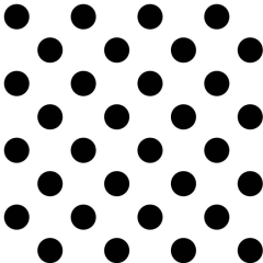 Tula Pink - Linework Dots schwarz auf weiss