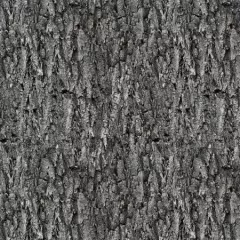 Spirit Animals - grey Tree Texture